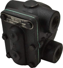 Watts - 4 Port, 3/4" Pipe, Cast Iron Float & Thermostatic Steam Trap - 15 Max psi - Strong Tooling