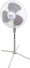 Comfort Zone - 16" Blade, 445 Max CFM, Standing Fan - 0.42 Amps, 120 Volts, 3 Speed - Strong Tooling