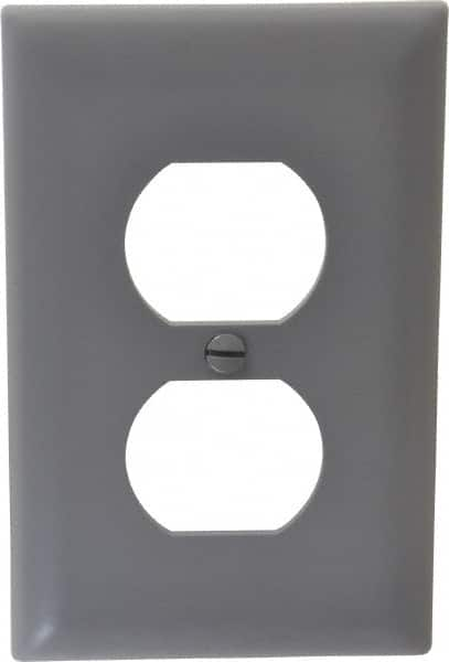 Pass & Seymour - 1 Gang, 4-11/16 Inch Long x 2-15/16 Inch Wide, Standard Outlet Wall Plate - Duplex Outlet, Gray, Nylon - Strong Tooling