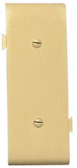 Pass & Seymour - 1 Gang, 4.9062 Inch Long x 1-13/16 Inch Wide, Blank Wall Plate - Blank, Ivory, Nylon - Strong Tooling