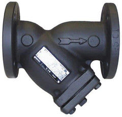 Legend Valve - 2" Pipe, Flanged Ends, Cast Iron Y-Strainer - 200 psi WOG Rating, 150 psi WSP Rating - Strong Tooling