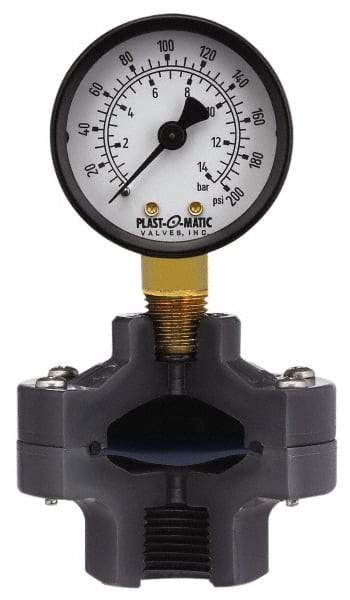 Plast-O-Matic - 160 Max psi, 2 Inch Dial Diameter, PVC Pressure Gauge Guard and Isolator - 3% Accuracy - Strong Tooling