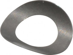 Gardner Spring - #5 Bolt, 0.135" ID, Grade 301 Stainless Steel, Curved Disc Spring - 0.245" OD, 0.049" High, 0.004" Thick - Strong Tooling