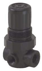 Norgren - 1/4 NPT, 150 Max Supply Pressure, Plastic Miniature Regulator, Pressure Gauge Not Included - Strong Tooling