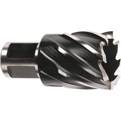 Annular Cutter: 15/16″ Dia, 1″ Depth of Cut, High Speed Steel 3/4″ Shank Dia, Weldon Flat Shank, 2 Flats, Bright/Uncoated