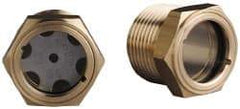 Trico - 1" Sight Diam, 3/4" Thread, 1-1/8" OAL, Viewport Sight Glass & Flow Sight - 1-1/8" Hex Head, Without Baffle - Strong Tooling