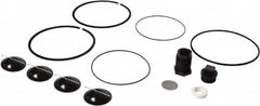 Tuthill - Repair Part Kit - For Use with Diaphragm Pumps - Strong Tooling