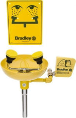 Bradley - Wall Mount, Plastic Bowl, Eye & Face Wash Station - 1/2" Inlet, 30 to 90 psi Flow, 3 GPM Flow Rate - Strong Tooling