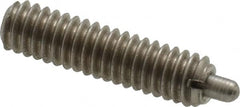 Gibraltar - 8-32, 5/8" Thread Length, 3/32" Plunger Projection, Stainless Steel Threaded Spring Plunger - Strong Tooling