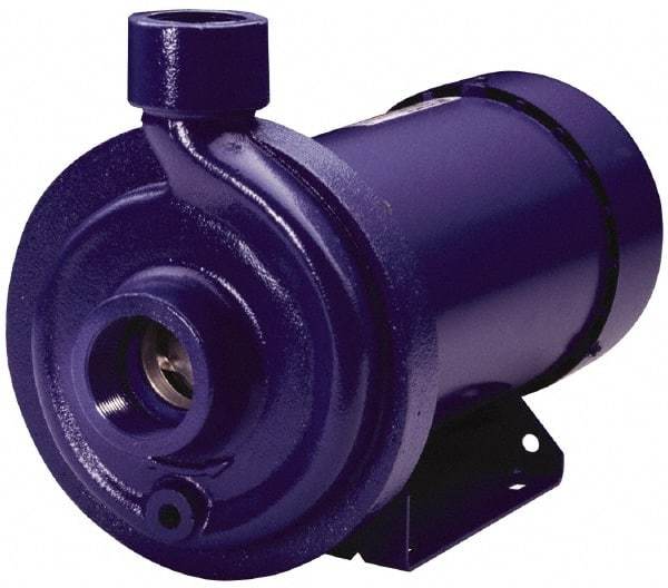 Goulds Pumps - TEFC Motor, 208-230/460 Volt, 9.8/4.9 Amp, 3 Phase, 3 HP, 3500 RPM, Cast Iron Straight Pump - 1-1/4 Inch Inlet, 1 Inch Outlet, 62 Max Head psi, 316L Stainless Steel Impeller, Carbon Ceramic Buna Seal, 142 Ft. Shut Off - Strong Tooling