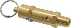 Kingston - 1/4" Inlet, ASME Safety Relief Valve - 50 Max psi, Brass - Strong Tooling