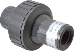 Plast-O-Matic - 1/2" PVC Check Valve - Inline, FNPT x FNPT, 150 WOG - Strong Tooling