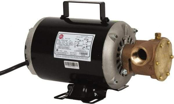 Jabsco - 1 Inch Inlet, 3/4 Hp, 23 Max GPM, Flexible Impeller Pump - 115/230 Volts, Nitrile Impeller - Strong Tooling