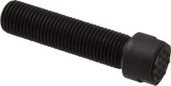 Fairlane - Serrated Tooth, 3/8-24, 1/8" Internal Hex, 1-1/2" Shank Length, 1-1/2" Thread Length, Black Oxide Finish, Round Head, Adjustable Positioning Gripper - 3/8" Pad Diam, 1/2" Hex, 0.15" Head Height, Extra Fine Tooth Grade - Strong Tooling