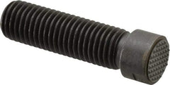 Fairlane - Serrated Tooth, 3/4-10, 5/16" Internal Hex, 2-1/2" Shank Length, 2-1/2" Thread Length, Black Oxide Finish, Round Head, Adjustable Positioning Gripper - 3/4" Pad Diam, 7/8" Hex, 1/4" Head Height, Extra Fine Tooth Grade - Strong Tooling