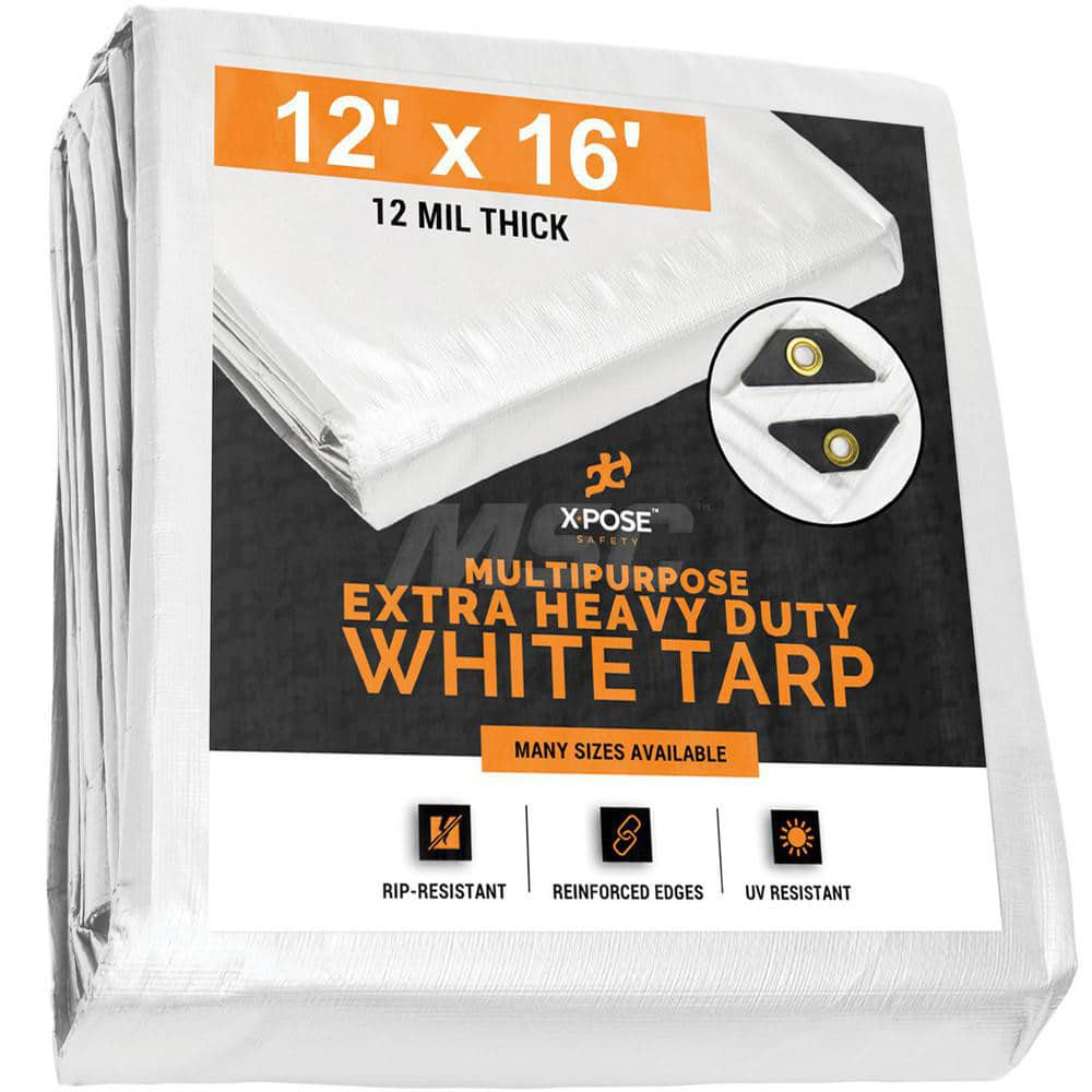 Tarp/Dust Cover: White, Rectangle, Polyethylene, 16' Long x 12' Wide, 12 mil Polyethylene, Rectangle