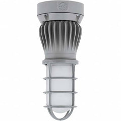 Hubbell Lighting - Hazardous Location Light Fixtures Resistance Features: Vaporproof Recommended Environment: Indoor; Outdoor - Strong Tooling