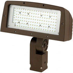 Hubbell Lighting - Floodlight Fixtures Mounting Type: Knuckle Mount Housing Color: Bronze - Strong Tooling