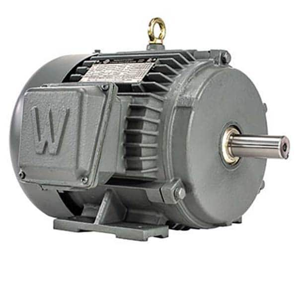 Worldwide Electric - Electric AC/DC Motors Motor Type: Premium Efficient Type of Enclosure: TEFC - Strong Tooling