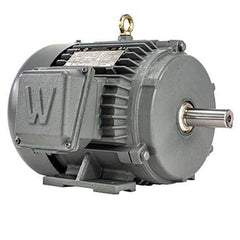 Worldwide Electric - Electric AC/DC Motors Motor Type: Premium Efficient Type of Enclosure: TEFC - Strong Tooling