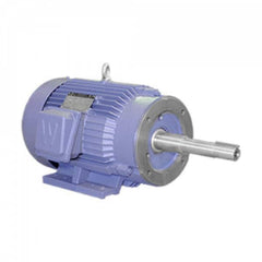 Worldwide Electric - Electric AC/DC Motors Motor Type: Premium Efficient Type of Enclosure: TEFC - Strong Tooling