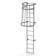 TRI-ARC - Rolling & Wall Mounted Ladders & Platforms Type: Fixed Ladder Style: Safety Cage - Strong Tooling