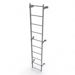 TRI-ARC - Rolling & Wall Mounted Ladders & Platforms Type: Fixed Ladder Style: Safety Cage - Strong Tooling