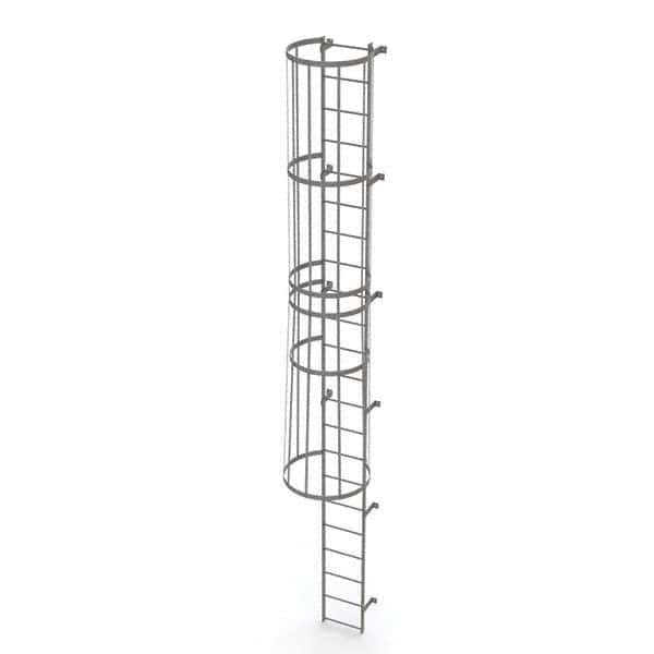 TRI-ARC - Rolling & Wall Mounted Ladders & Platforms Type: Fixed Ladder Style: Safety Cage - Strong Tooling