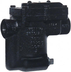 Hoffman Speciality - 2 Port, 1/2" Pipe, Stainless Steel Inverted Bucket Steam Trap - 30 Max psi - Strong Tooling