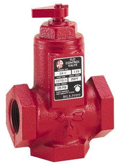 Bell & Gossett - 3/4" Pipe, Cast Iron Manually Operated Plumbing Valve - Buna Seal, FNPT - Strong Tooling