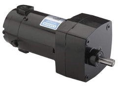 Leeson - 1/15 Max hp, 28 Max RPM, Electric AC DC Motor - 115 V Input, Single Phase, 31 Frame - Strong Tooling