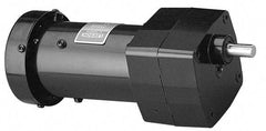 Leeson - 1/15 Max hp, 19 Max RPM, Electric AC DC Motor - 115 V Input, Single Phase, 31 Frame - Strong Tooling