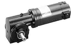 Leeson - 1/15 Max hp, 28 Max RPM, Electric AC DC Motor - 115 V Input, 31C Frame - Strong Tooling