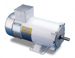 Leeson - 3/4 Max hp, 1,750 Max RPM, Electric AC DC Motor - 230 V Input, ZLS56C Frame - Strong Tooling