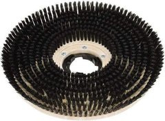 Clarke - 20" Diam Scrubbing Brush - 20" Machine, Black Pad, Polypropylene - Strong Tooling