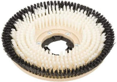 Clarke - 17" Diam Scrubbing Brush - 17" Machine, Black Pad, Nylon - Strong Tooling