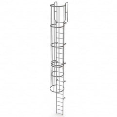 TRI-ARC - Rolling & Wall Mounted Ladders & Platforms Type: Fixed Ladder Style: Safety Cage - Strong Tooling