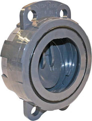 Hayward - 2" PVC Check Valve - Wafer Check Valve, Wafer, 150 WOG - Strong Tooling