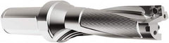 Seco - 123mm Max Drill Depth, 3xD, 41mm Diam, Indexable Insert Drill - 2 Inserts, 40mm Shank Diam, Straight Shank - Strong Tooling