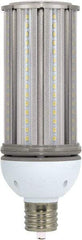 Value Collection - 45 Watt LED Commercial/Industrial Mogul Lamp - 5,000°K Color Temp, 5,400 Lumens, 100, 277 Volts, Ex39, 50,000 hr Avg Life - Strong Tooling