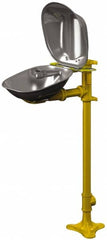 Bradley - Pedestal Mount, Stainless Steel Bowl, Eyewash Station - Strong Tooling