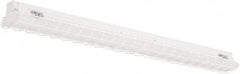 Philips - 48" Long x 3" High, Steel Light Fixture Wire Guard - For Use with PFSI Strips - Strong Tooling