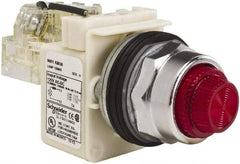 Schneider Electric - 120 VAC Red Lens Indicating Light - Screw Clamp Connector - Strong Tooling