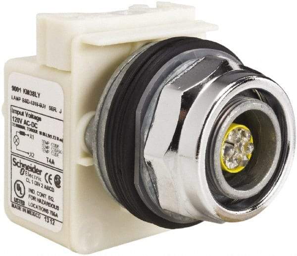 Schneider Electric - 120 V LED Indicating Light - Screw Clamp Connector - Strong Tooling