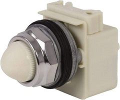 Schneider Electric - 120 VAC White Lens Indicating Light - Screw Clamp Connector - Strong Tooling