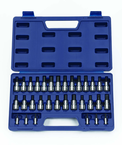 32 Piece - 1/4 & 3/8" Drive - Bit Socket Set - Strong Tooling