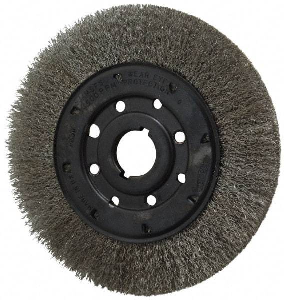 Osborn - 8" OD, 1-1/4" Arbor Hole, Crimped Stainless Steel Wheel Brush - 3/4" Face Width, 1-1/2" Trim Length, 0.0104" Filament Diam, 4,500 RPM - Strong Tooling