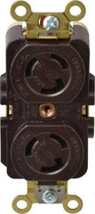 Hubbell Wiring Device-Kellems - 125 VAC, 15 Amp, L5-15R NEMA, Self Grounding Receptacle - 2 Poles, 3 Wire, Female End, Brown - Strong Tooling