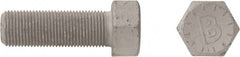 Bowmalloy - 7/16-20, 3/4" Long Hex Head Cap Screw - Strong Tooling