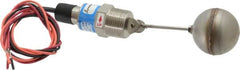 Thomas Products Ltd. - 1" Thread, 900 Max psi, 300°F Max, Liquid Level Side Mounted Float Switches - SST Stem - Strong Tooling